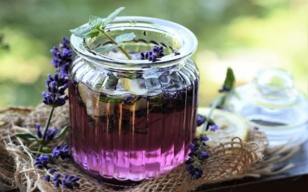 خرید و فروش گل گاوزبان اسطوخودوس با شرایط فوق العاده